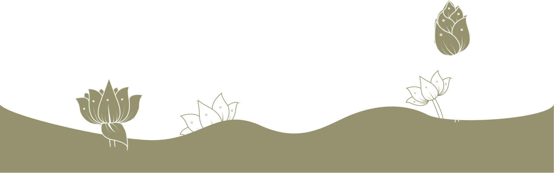 Center illustration