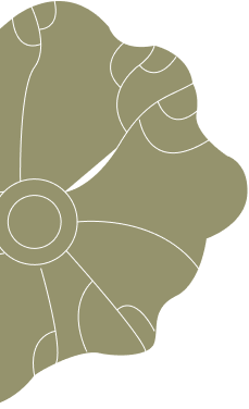 Leaf illustration
