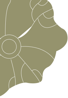 Leaf illustration