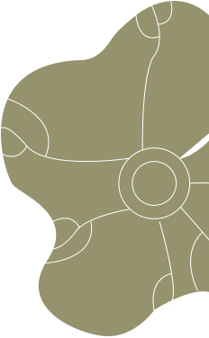 Leaf illustration