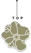 Scroll to top